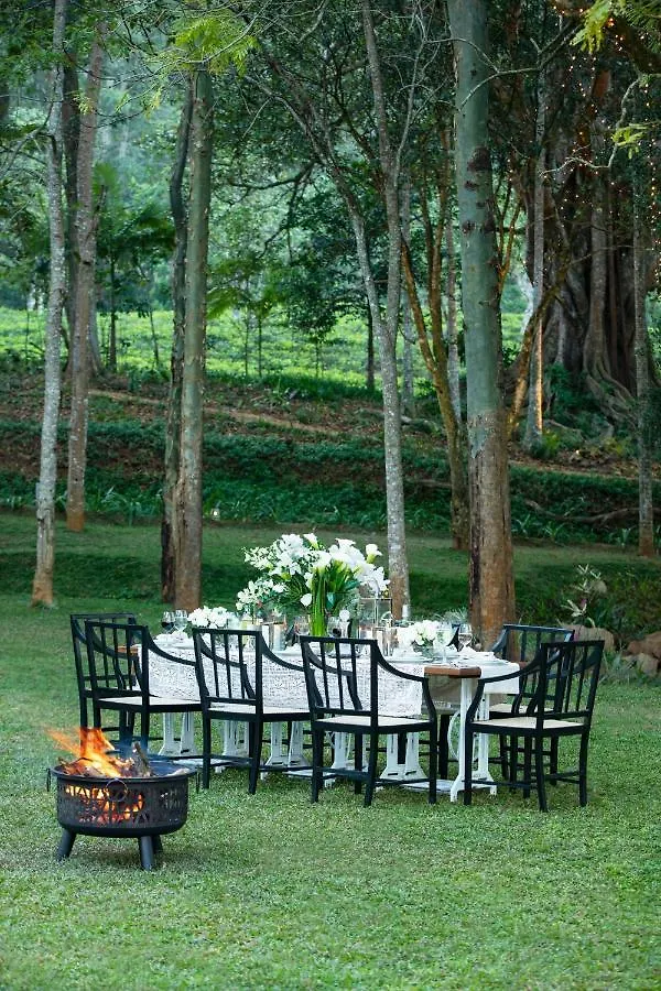 W15 Hanthana Estate Kandy Sri Lanka