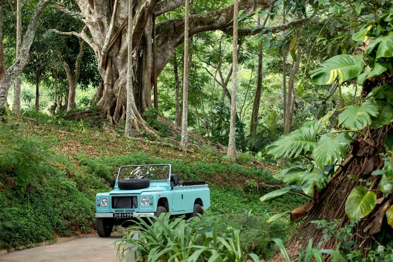***** Hotel W15 Hanthana Estate Kandy Sri Lanka