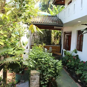  Homestay Alex