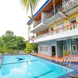 Blue Haven Kandy
